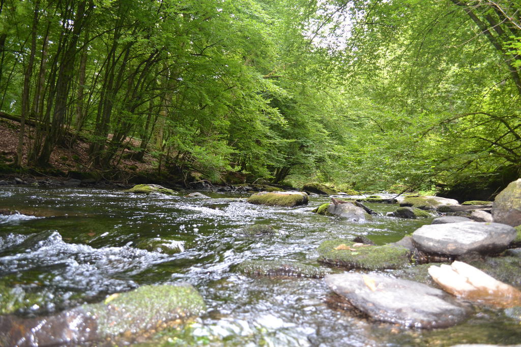Gite La Clef Des Champs Libin Exterior foto