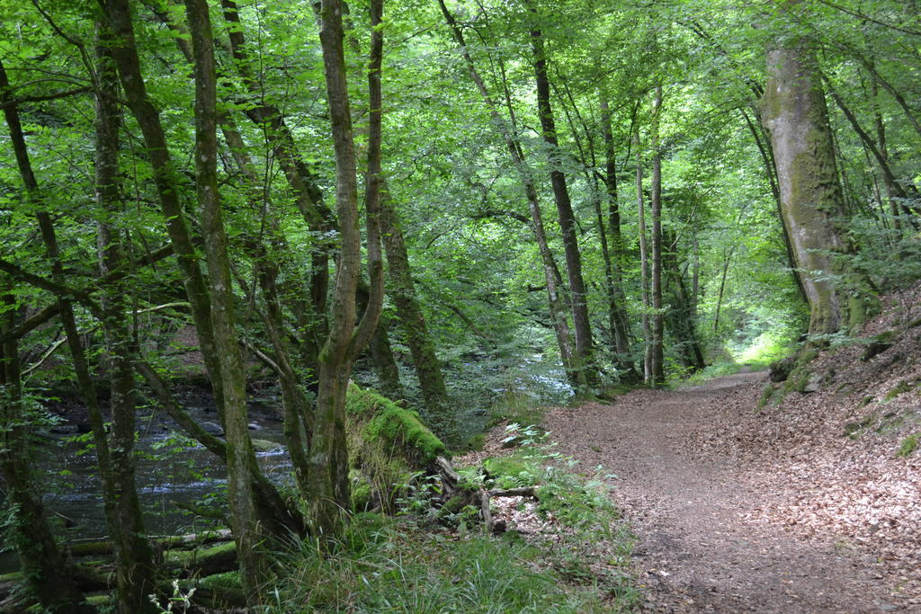 Gite La Clef Des Champs Libin Cameră foto
